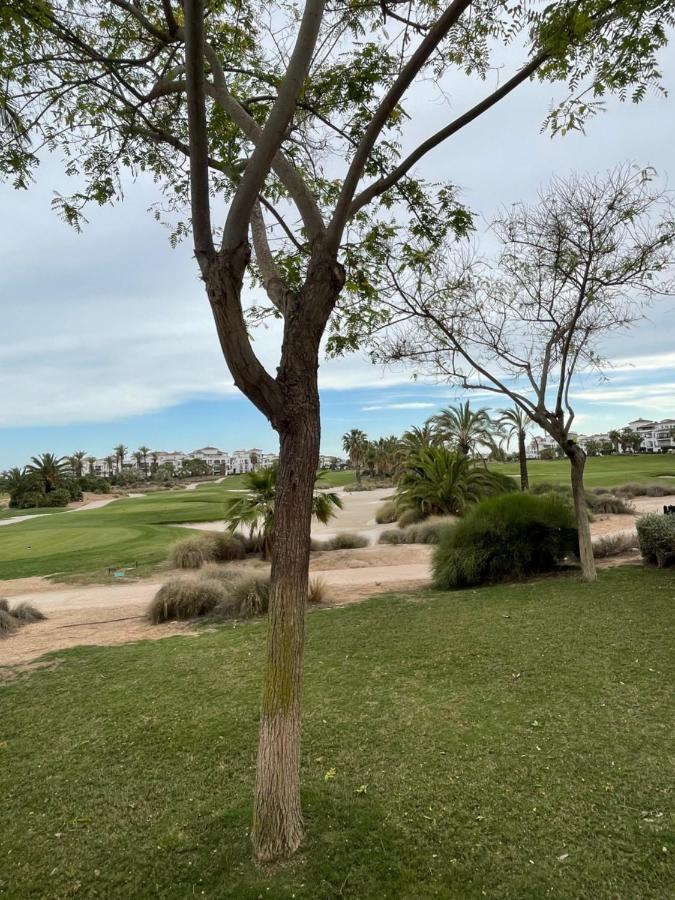 Apartamento De Lujo En Planta Baja Con Piscina En La Torre Golf Resort Roldán Eksteriør billede